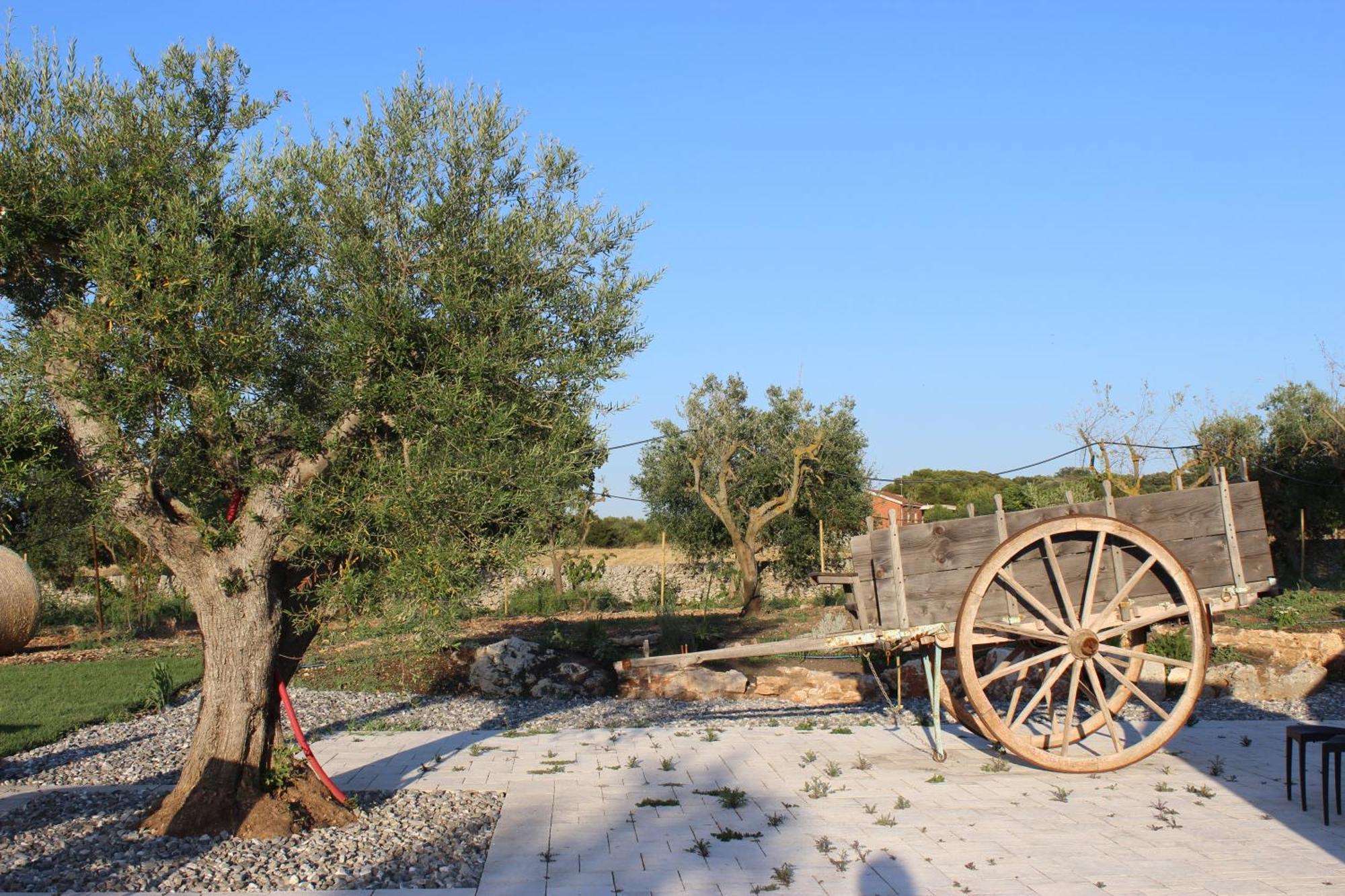 Masseria Stella Джоя-дель-Колле Екстер'єр фото